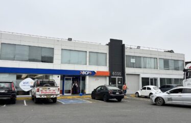 IMG 4036