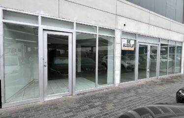 IMG 4066