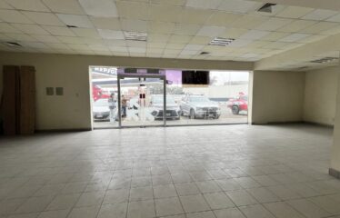 IMG 4092