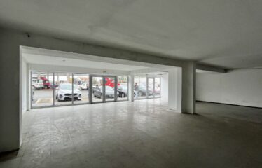 IMG 4098