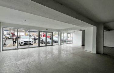 IMG 4100